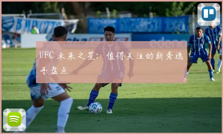 UFC 未来之星：值得关注的新秀选手盘点