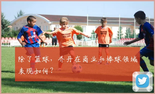 除了篮球，乔丹在商业和棒球领域表现如何？